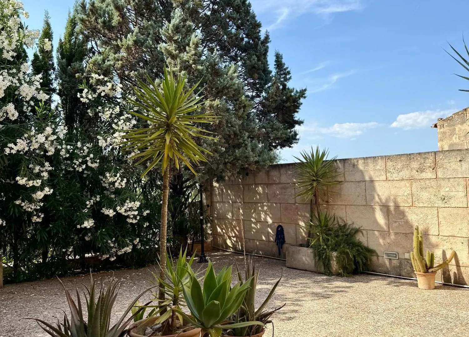 Casa Rural, Finca Rustica Con Piscina Cas Padrins De Campos, Mallorca Španělsko